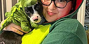 Oliver joined the competition — help win amazing prizes! affection, black_and_white_dog, costume, cuddling, cute, dinosaur, dog, face, glasses, green, holding, home, hoodie, indoor, nose_ring, person, pet, plush, puppy, smiling