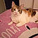 Olympe