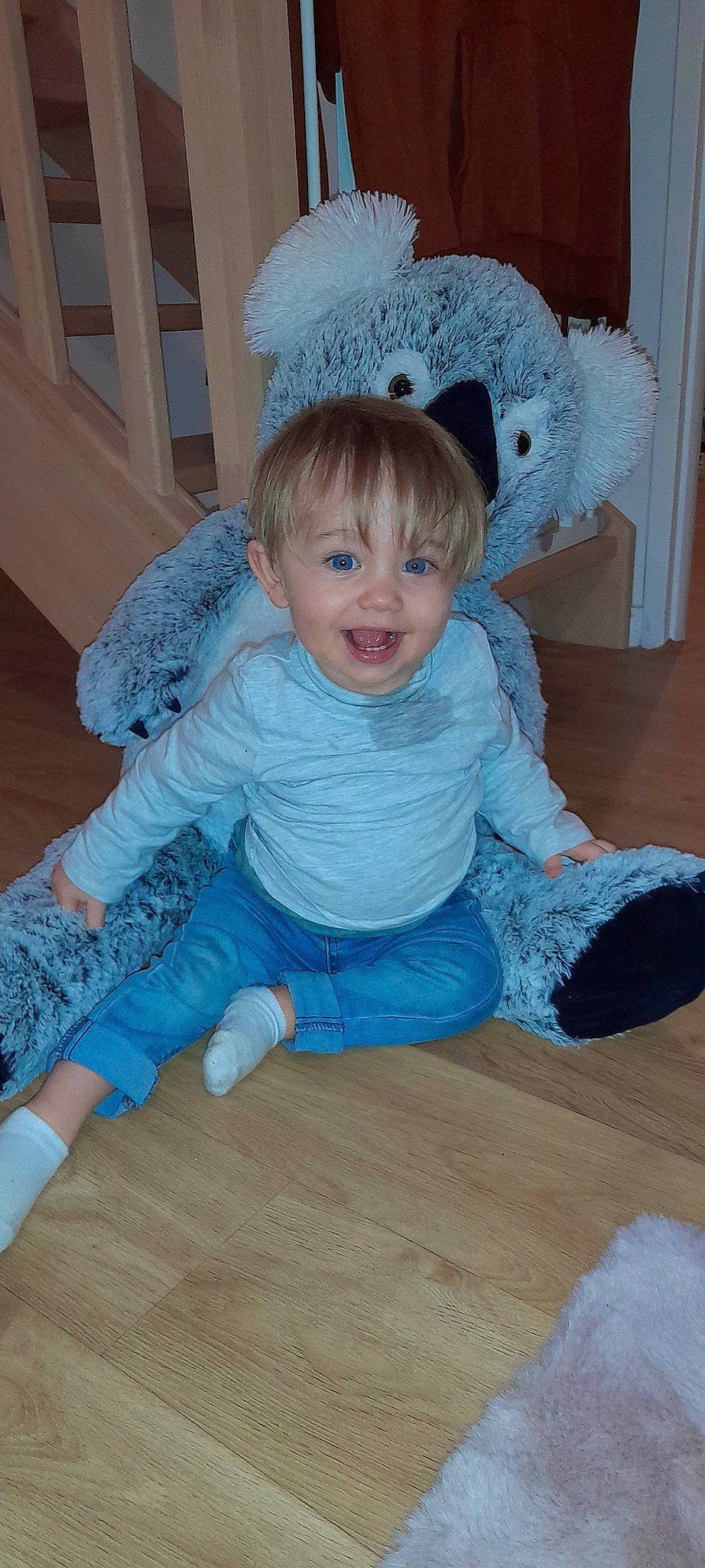 Milio a rejoint le concours — aidez-le/la à gagner de superbes lots ! baby_toddler_clothing, cap, cheek, child, comfort, costume_hat, floor, flooring, fun, happy, hardwood, iris, person, purple, sitting, skin, sleeve, smile, sock, toddler