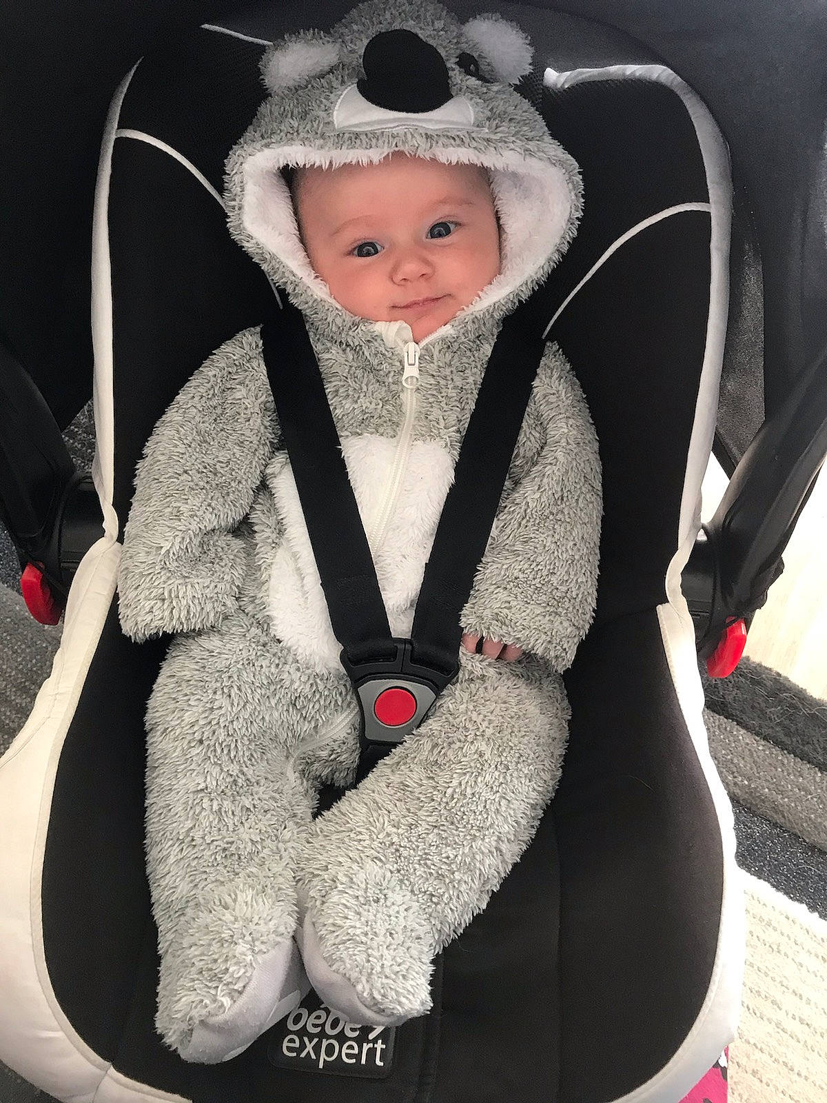Milio a rejoint le concours — aidez-le/la à gagner de superbes lots ! baby, baby_carriage, baby_products, baby_toddler_clothing, child, costume, costume_hat, fashion_accessory, fur, glove, headgear, headwear, hoodie, jacket, outerwear, person, personal_protective_equipment, sitting, sleeve, toddler