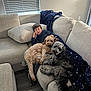 boy, child, two_dogs, small_dog, curly_fur, couch, sofa, blanket, navy_blanket, living_room, window_blinds, pillow, hardwood_floor, cozy, pet, family, indoor, relaxed, playful, sitting