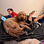 dog, goldendoodle, doodle, pet, boy, child, tablet, tablet_screen, bed, blanket, foot, paw, face, fur, indoor, wall, power_outlet, mattress, pajamas, cozy