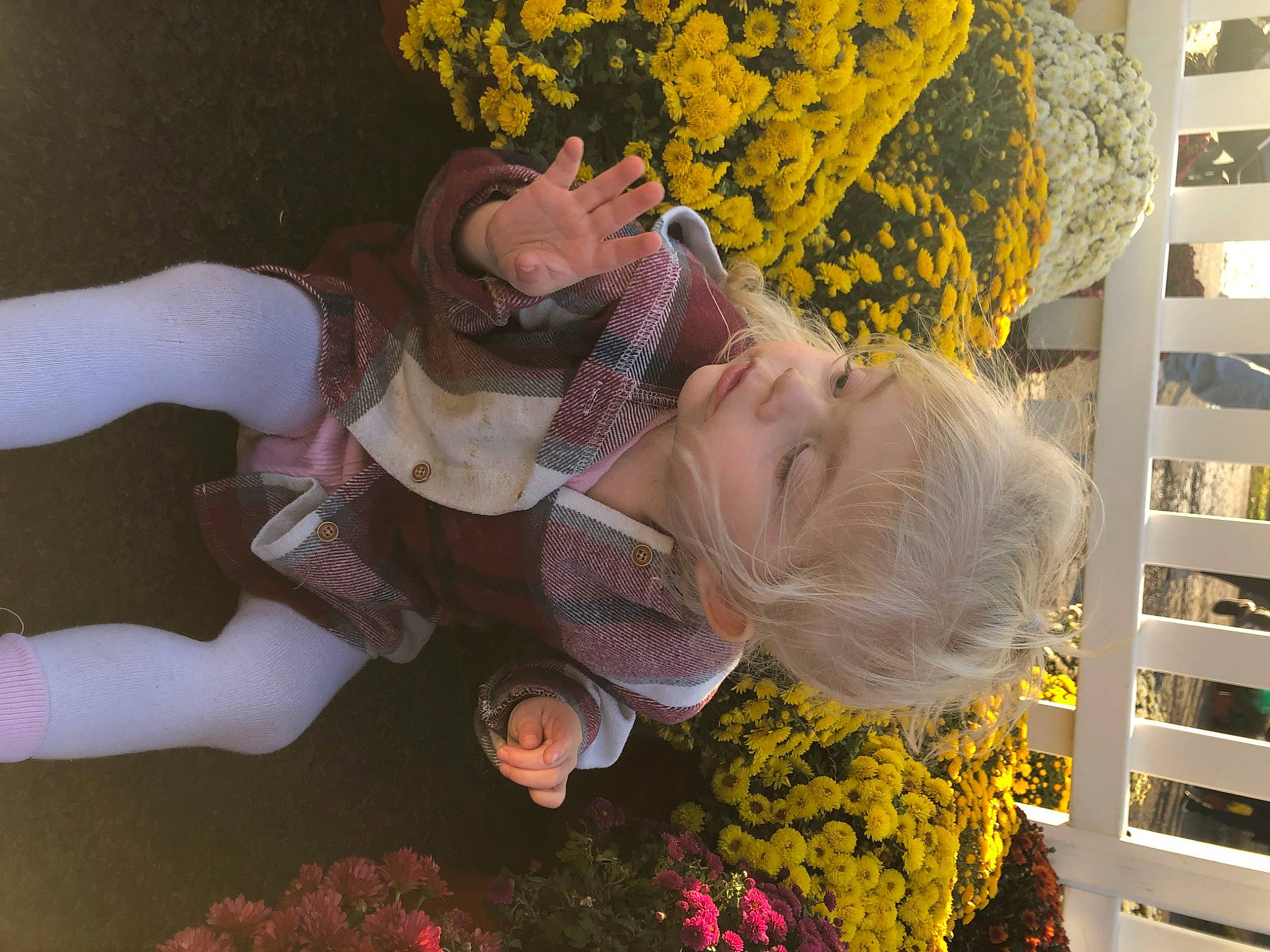 Frankie is registered to the contest to win money with this photo: beauty, cut_flowers, floral_design, floristry, flower, flower_arranging, fun, grass, happy, leisure, orange, organ, person, plant, smile, snapshot, spring, sunglasses, thigh, tree