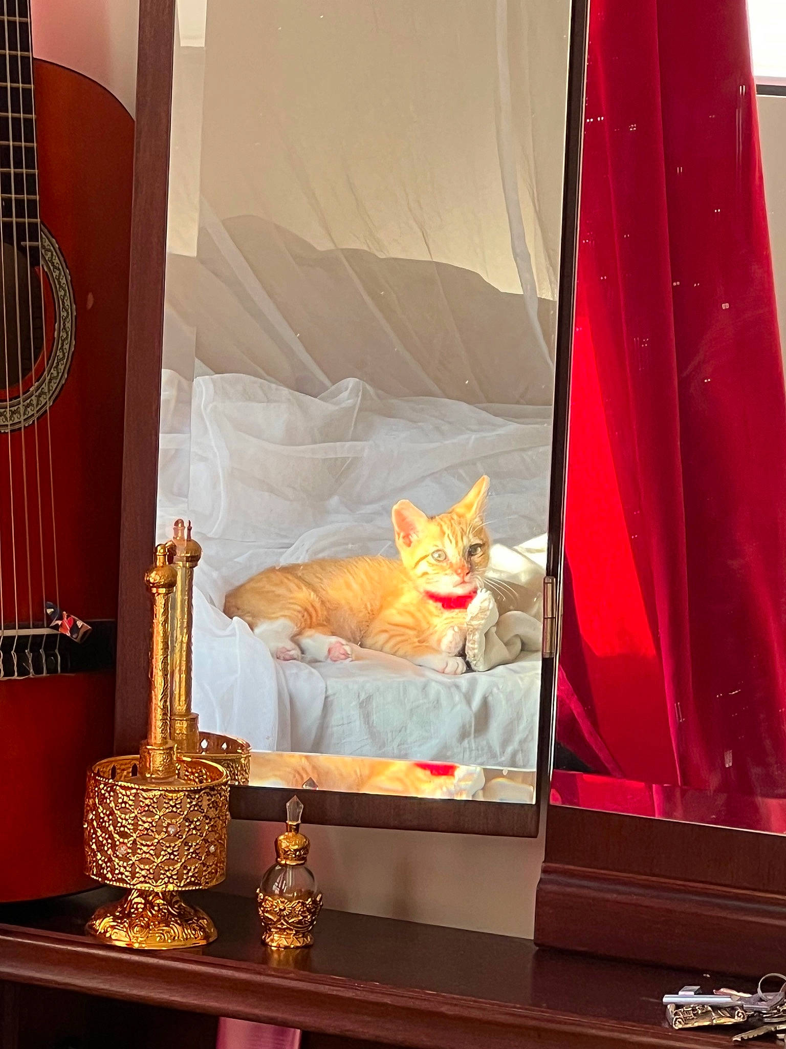 Fei participe au concours pour gagner de l'argent avec cette photo : carnivore, cat, couch, display_case, event, felidae, folk_instrument, interior_design, light, linens, musical_instrument, orange, peach, red, room, small_to_medium_sized_cats, string_instrument, tree, window, wood