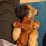 blanket, blue_background, closed_eyes, clothing, comfort, couch, cozy, dog, fur, hugging, indoor, light_brown, nap, person, plush_toy, puppy, relaxing, sleeping, soft_toy, teddy_bear