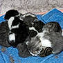 Haina participe au concours pour gagner de l'argent avec cette photo :
