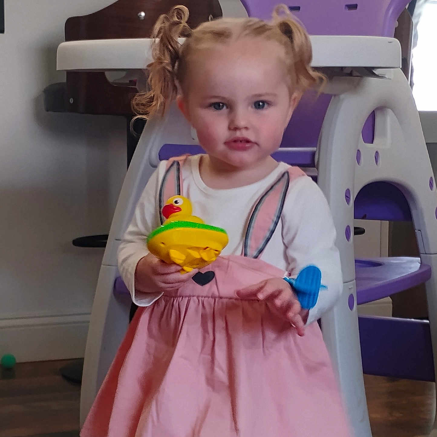Lainee Jo is registered to the contest to win money with this photo: blonde_hair, child, curious, face, furniture, high_chair, home, indoor, kitchen, long_sleeve_shirt, person, pigtails, pink_dress, plastic_toy, rubber_duck, smile, standing, toddler, toy, wooden_floor