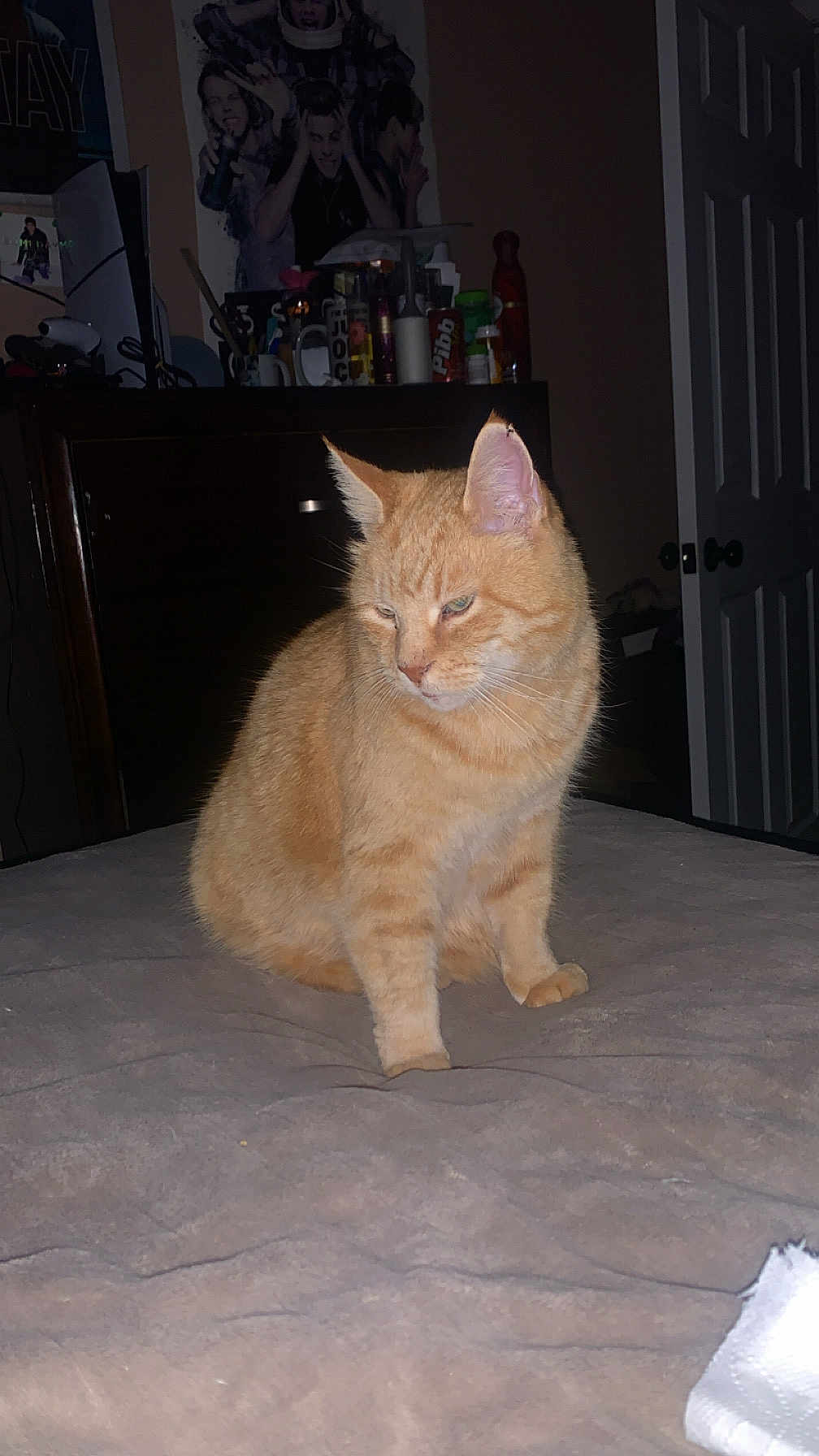 Morty