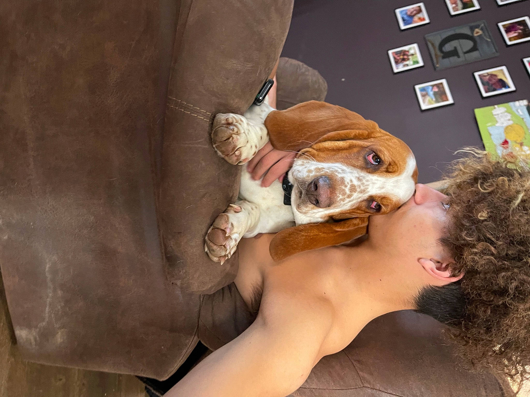 Douglas joined the competition — help win amazing prizes! art, chest, dress, eyelash, eyewear, fawn, fun, gesture, happy, headpiece, human_body, illustration, jewellery, long_hair, nail, room, sunglasses, tattoo, toy, visual_arts