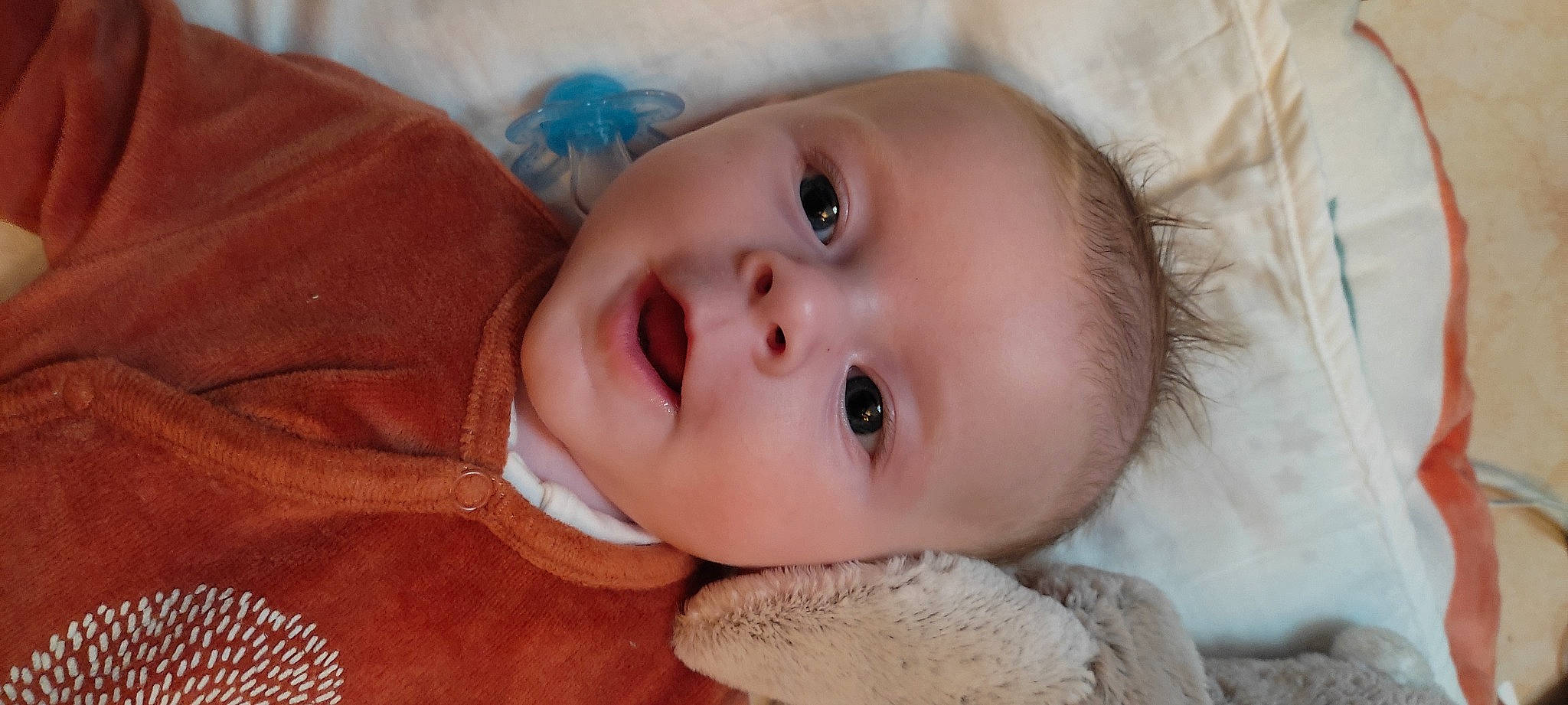 Timéo participe au concours pour gagner de l'argent avec cette photo : baby, baby_toddler_clothing, beauty, cheek, child, eyelash, fur, grass, happy, lip, nose, organ, person, portrait_photography, skin, textile, toddler