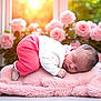baby, sleeping, pink_blanket, roses, flower, soft, sunlight, indoor, peaceful, newborn, cute, portrait, infant, cozy, child, resting, warm_light, floral_background, toddler, peace