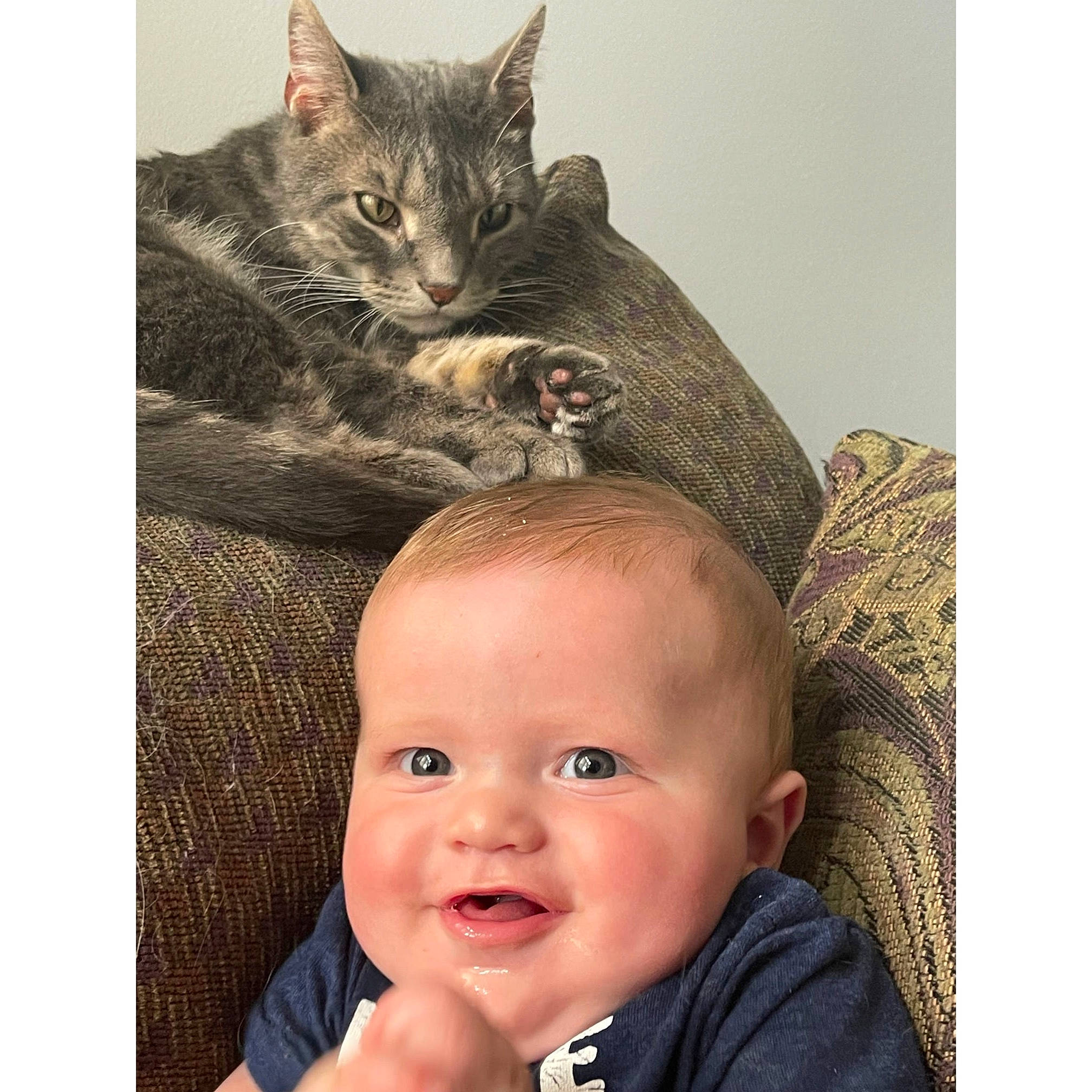 Anakin is registered to the contest to win money with this photo: baby, carnivore, cat, domestic_short_haired_cat, ear, eye, felidae, fur, happy, head, iris, nose, person, photo_caption, selfie, sitting, small_to_medium_sized_cats, smile, t_shirt, toddler