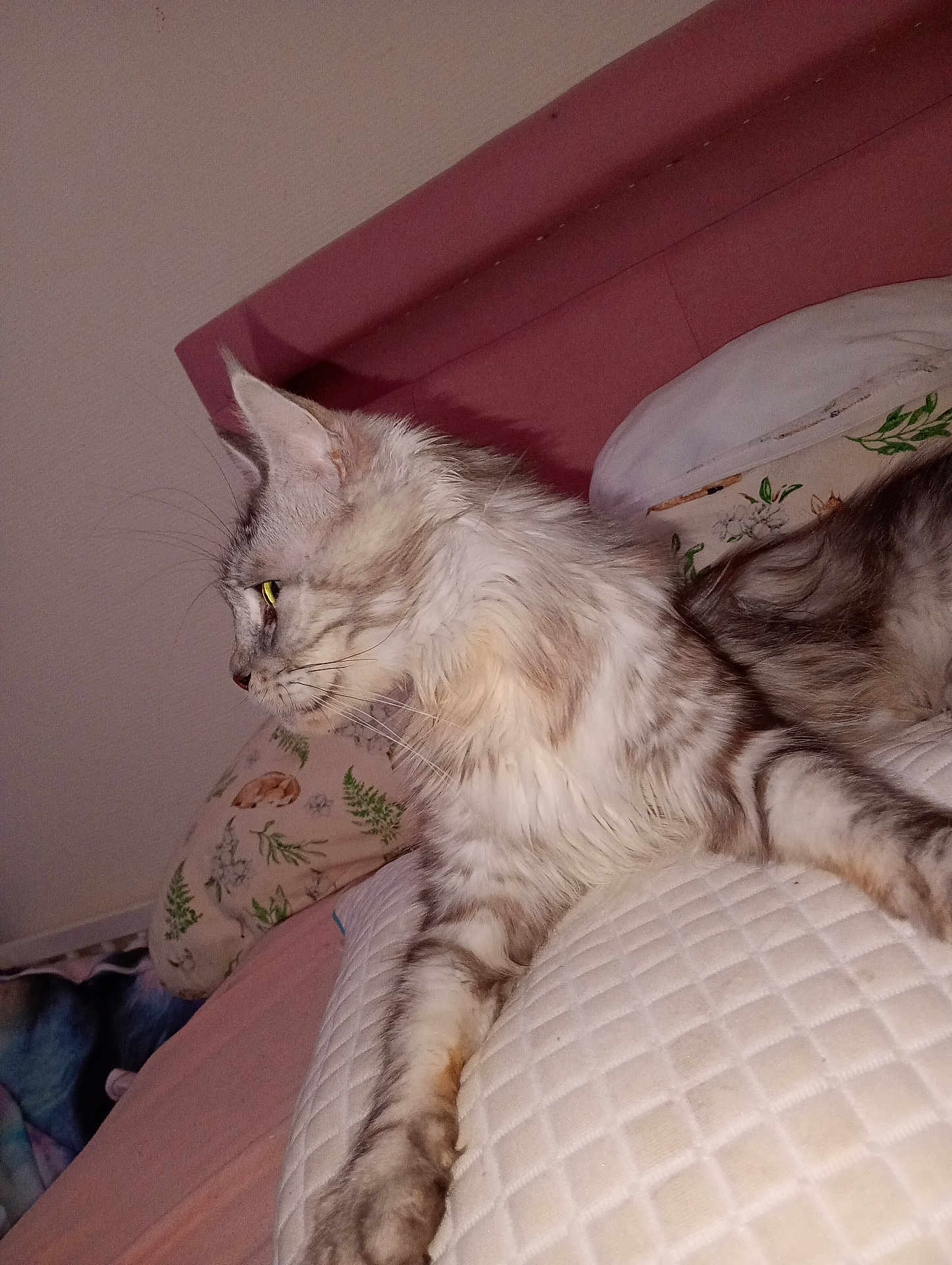 Toundra