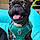 Emmitt