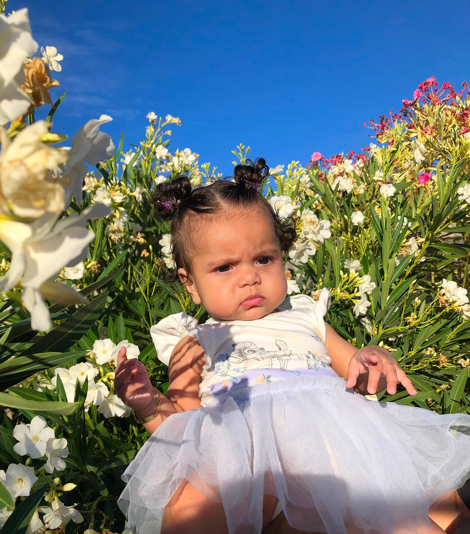 Amiyah is registered to the contest to win money with this photo: annual_plant, baby_toddler_clothing, botany, child, flower, flower_arranging, flowering_plant, grass, happy, meadow, people_in_nature, person, petal, plant, rose, rose_family, shrub, sky, summer, toddler