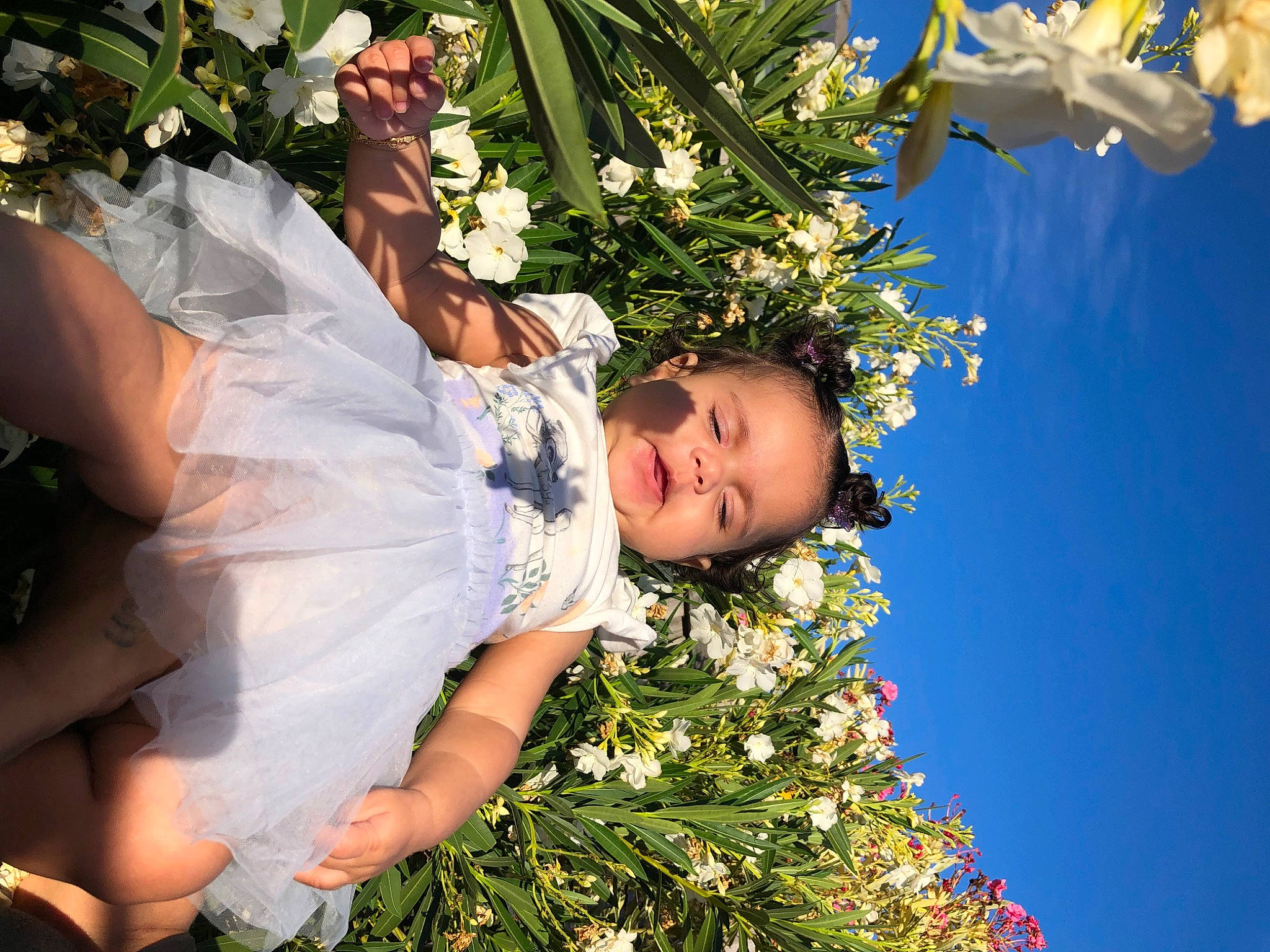 Amiyah is registered to the contest to win money with this photo: botany, child, christmas_tree, conifer, event, fashion_accessory, flower, fun, gesture, grass, happy, jewellery, leaf, leisure, people_in_nature, person, plant, sky, toddler, tradition