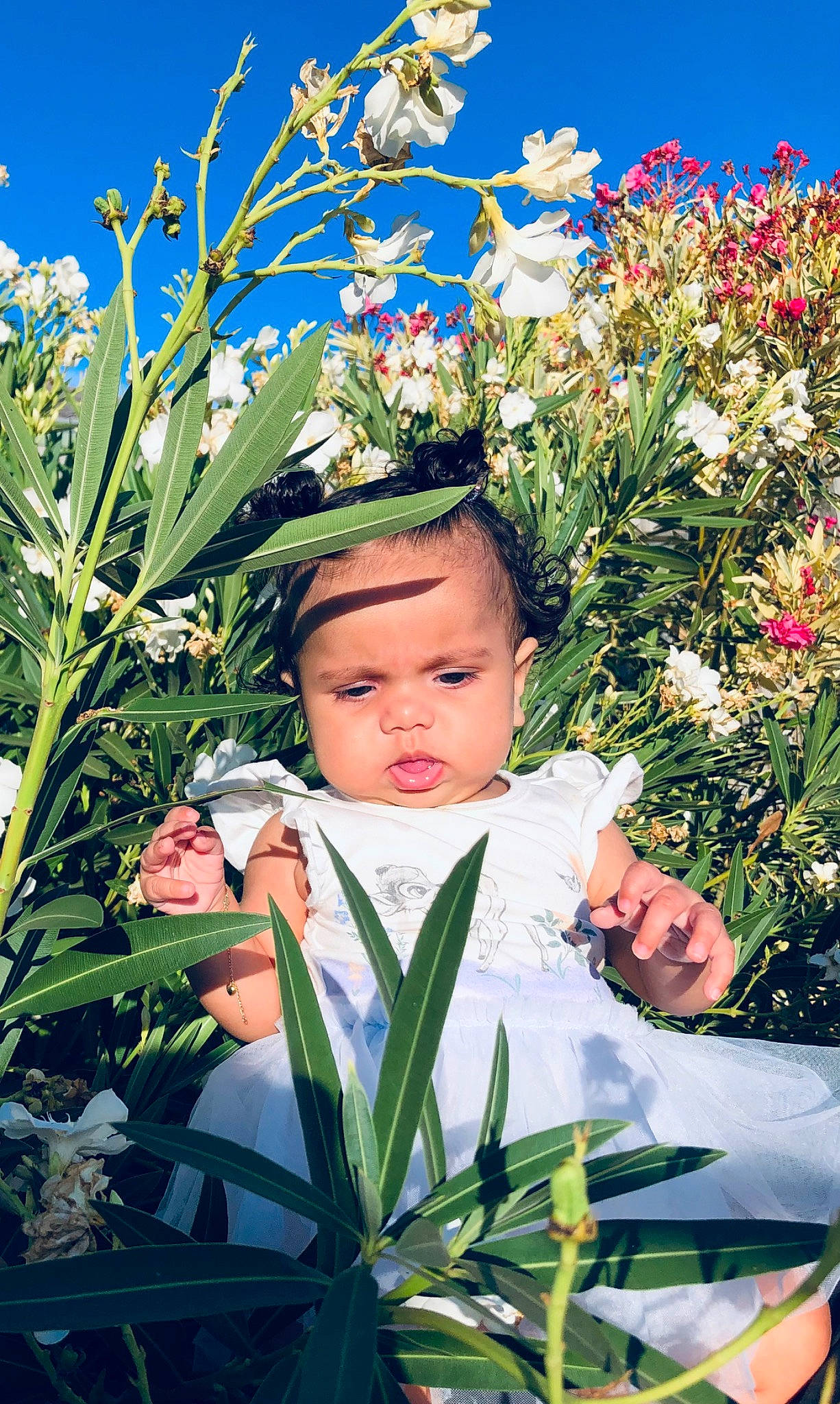 Amiyah joined the competition — help win amazing prizes! baby, baby_toddler_clothing, beauty, blue, botany, eye, flower, flowering_plant, grass, grass_family, happy, head, headwear, natural_environment, people_in_nature, person, petal, plant, sky, terrestrial_plant