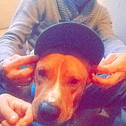 Tyzon a rejoint le concours — aidez-le/la à gagner de superbes lots !