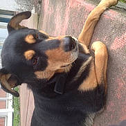 D'anna participe au concours pour gagner de l'argent avec cette photo :