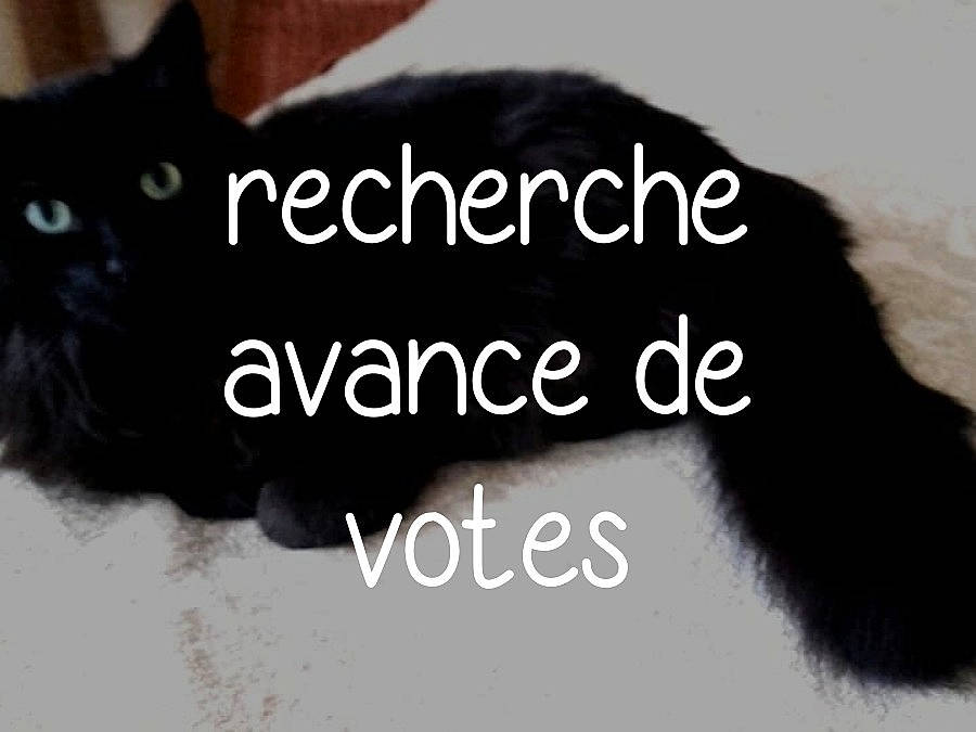 Illona participe au concours pour gagner de l'argent avec cette photo : black, carnivore, cat, collar, comfort, domestic_short_haired_cat, ear, fashion_accessory, felidae, font, fur, mammal, paw, photo_caption, small_to_medium_sized_cats, snout, tail, terrestrial_animal, vertebrate, whiskers