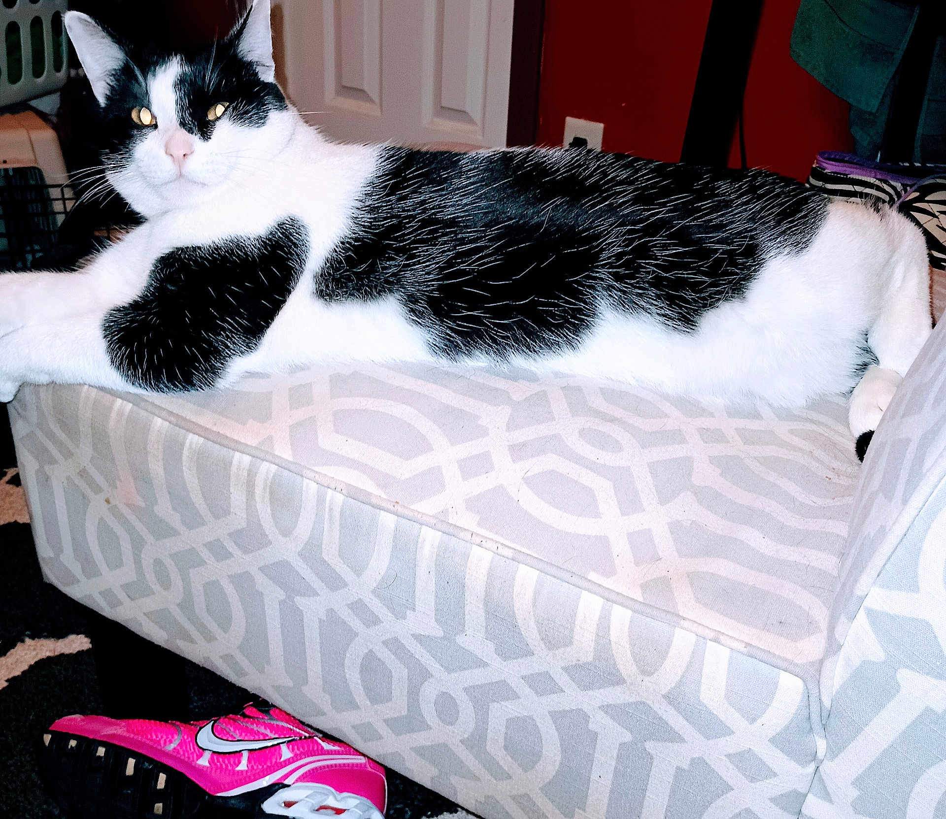 Nico joined the competition — help win amazing prizes! cat, black_and_white, lounging, ottoman, patterned_furniture, indoor, pet, nike_shoe, pink_shoe, carpet, door, wall, relaxed, animal, feline, paw, ear, eyes, household, cozy