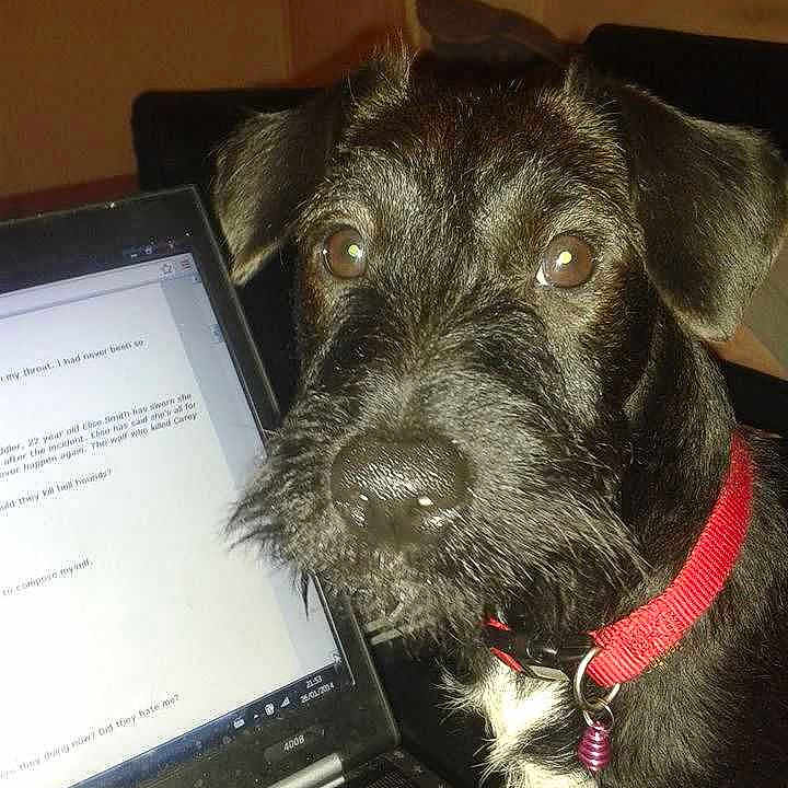 Lucy joined the competition — help win amazing prizes!