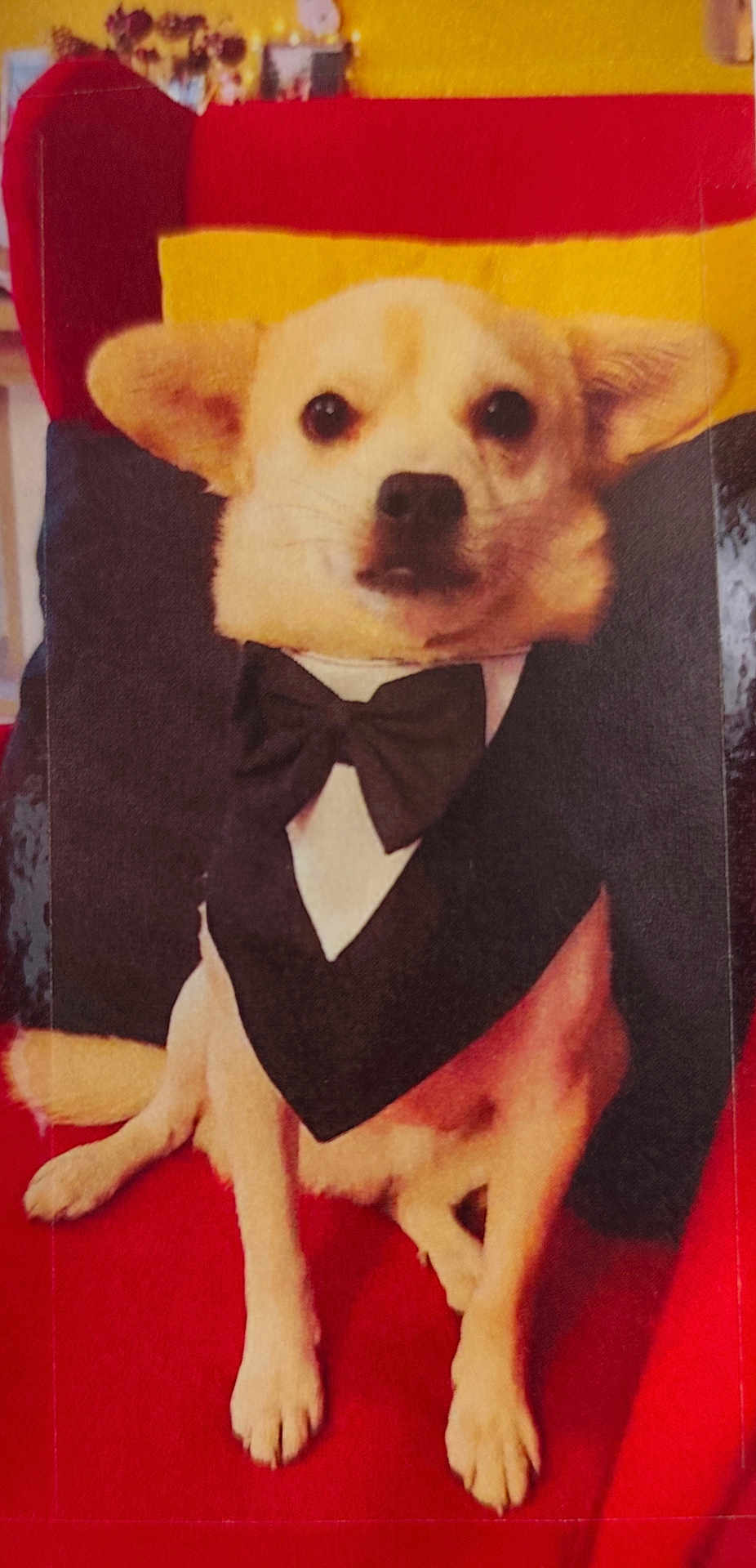Pedro