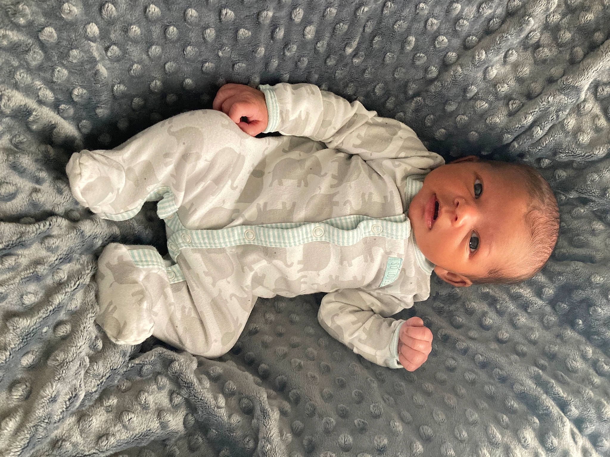 Daelon joined the competition — help win amazing prizes! baby, baby_products, baby_sleeping, baby_toddler_clothing, bedtime, child, comfort, flooring, grass, head, linens, mammal, nap, pattern, person, room, sitting, sleep, sleeve, toddler