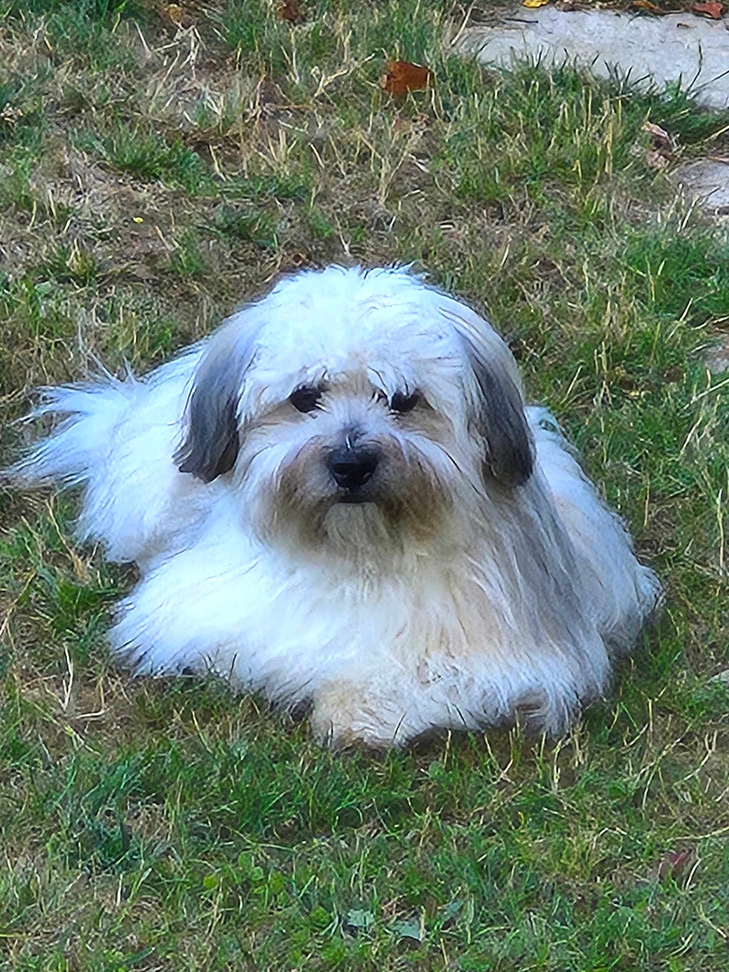 Victor