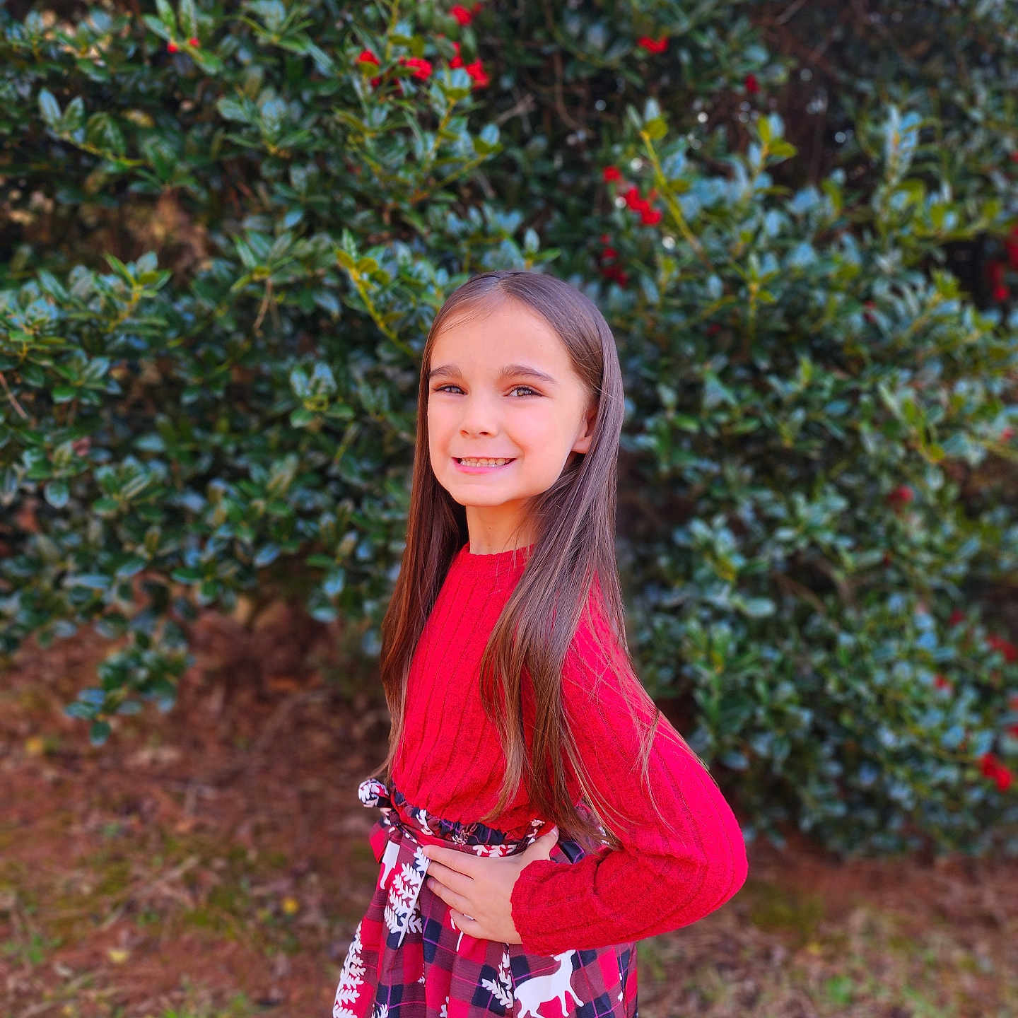 Charlotte is registered to the contest to win money with this photo: bush, casual, child, festive_clothing, girl, grass, greenery, happy, holiday_theme, long_hair, nature, outdoor, plaid_skirt, portrait, posing, red_berries, red_sweater, reindeer_pattern, smiling, young