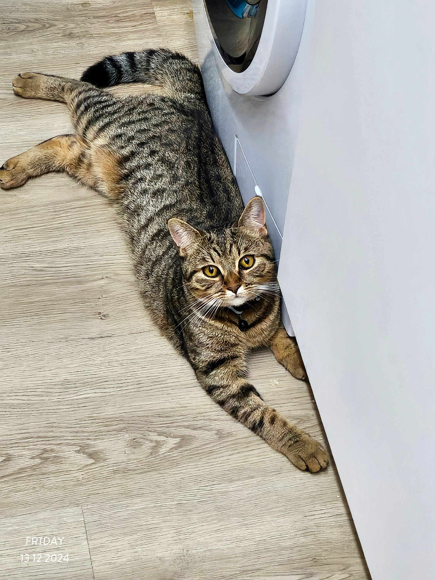 Luna
