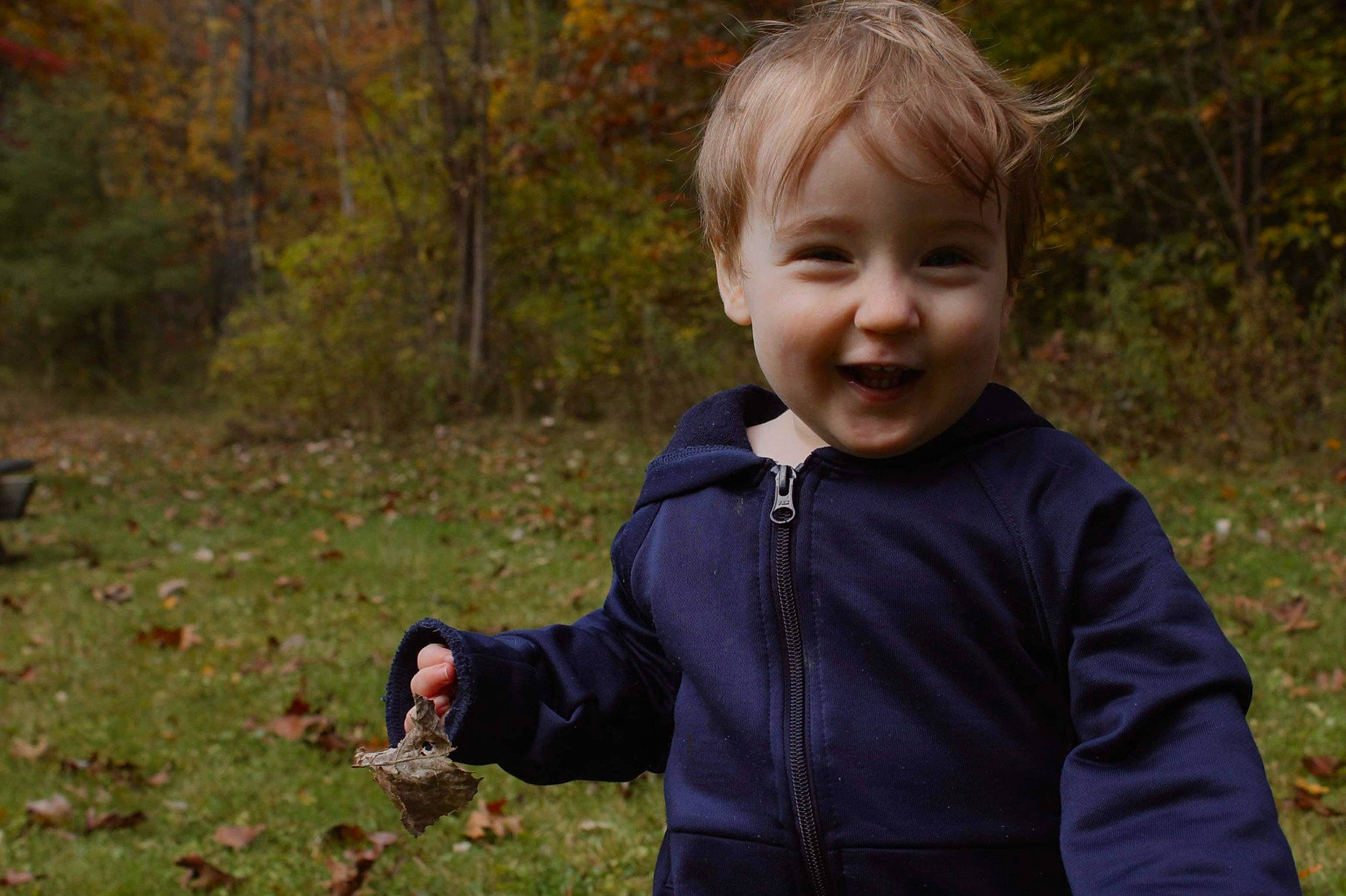 Jeriah joined the competition — help win amazing prizes! child, forest, grass, grassland, happy, joy, landscape, natural_landscape, people_in_nature, person, plant, portrait_photography, recreation, shortstraw_pine, smile, soil, spring, t_shirt, toddler, tree