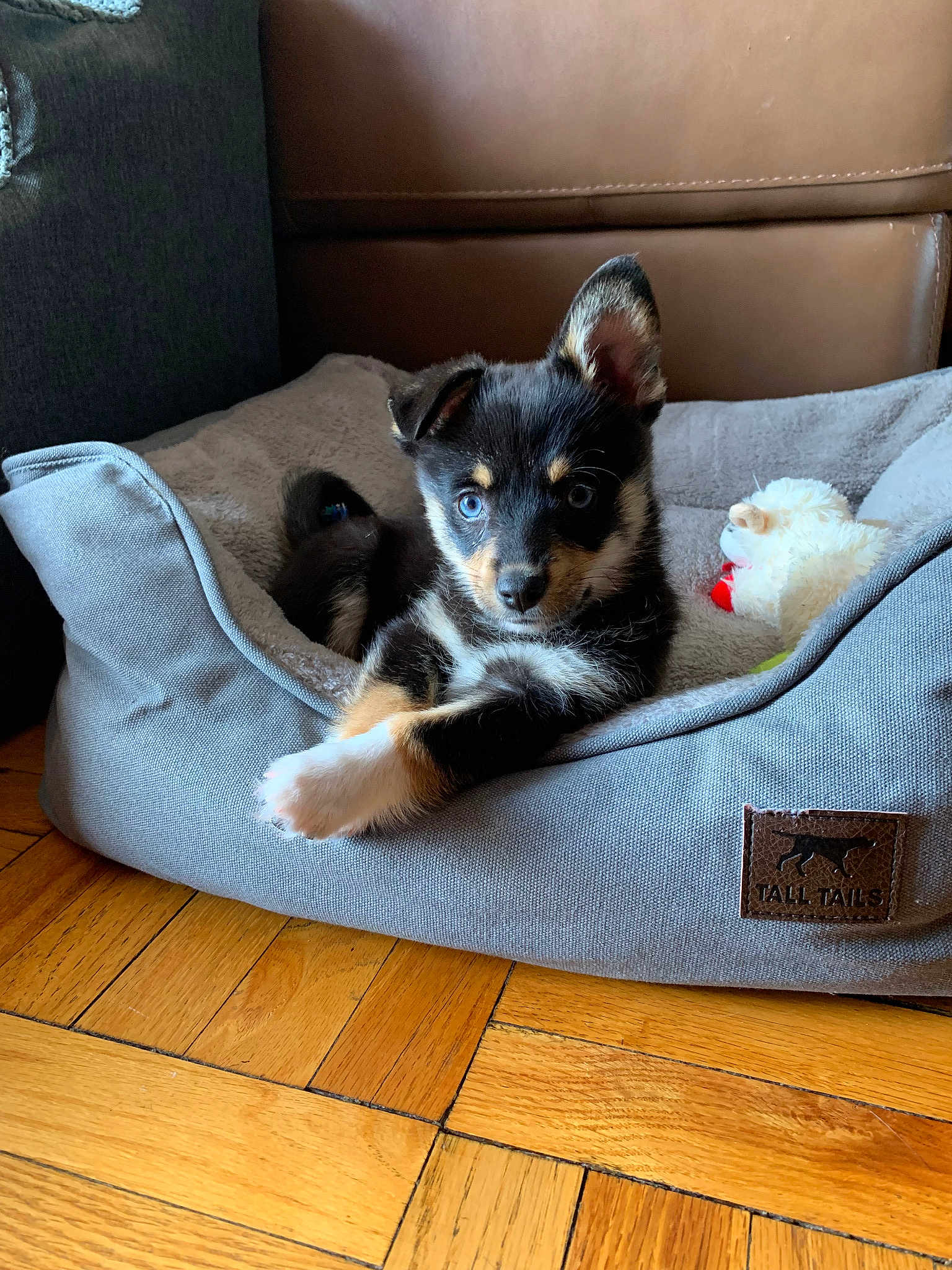 Skye