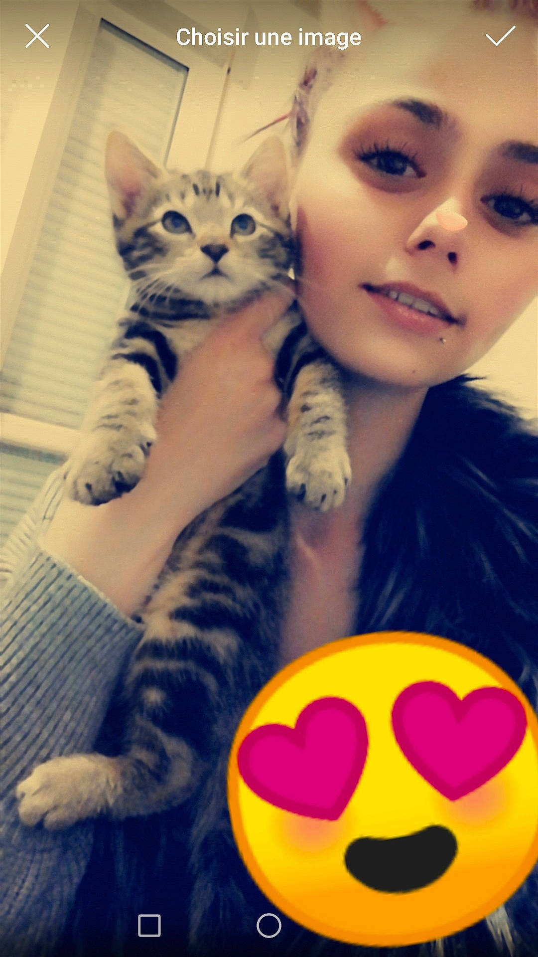 Patapouf participe au concours pour gagner de l'argent avec cette photo : american_shorthair, asian, black_hair, carnivore, cat, cool, eye, face, felidae, fur, head, kitten, lip, nose, photography, selfie, small_to_medium_sized_cats, smile, whiskers, yellow