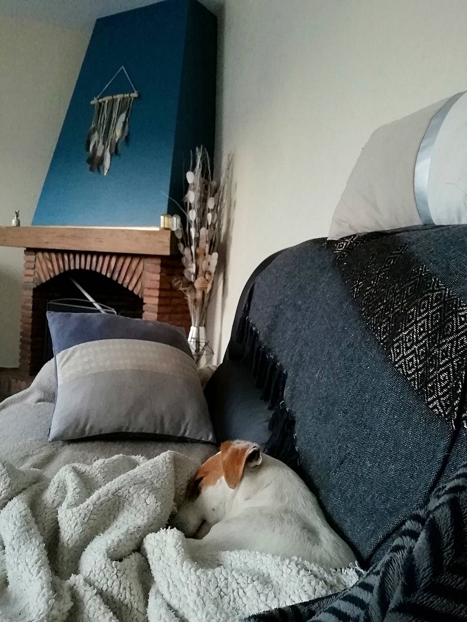 Mango a rejoint le concours — aidez-le/la à gagner de superbes lots !