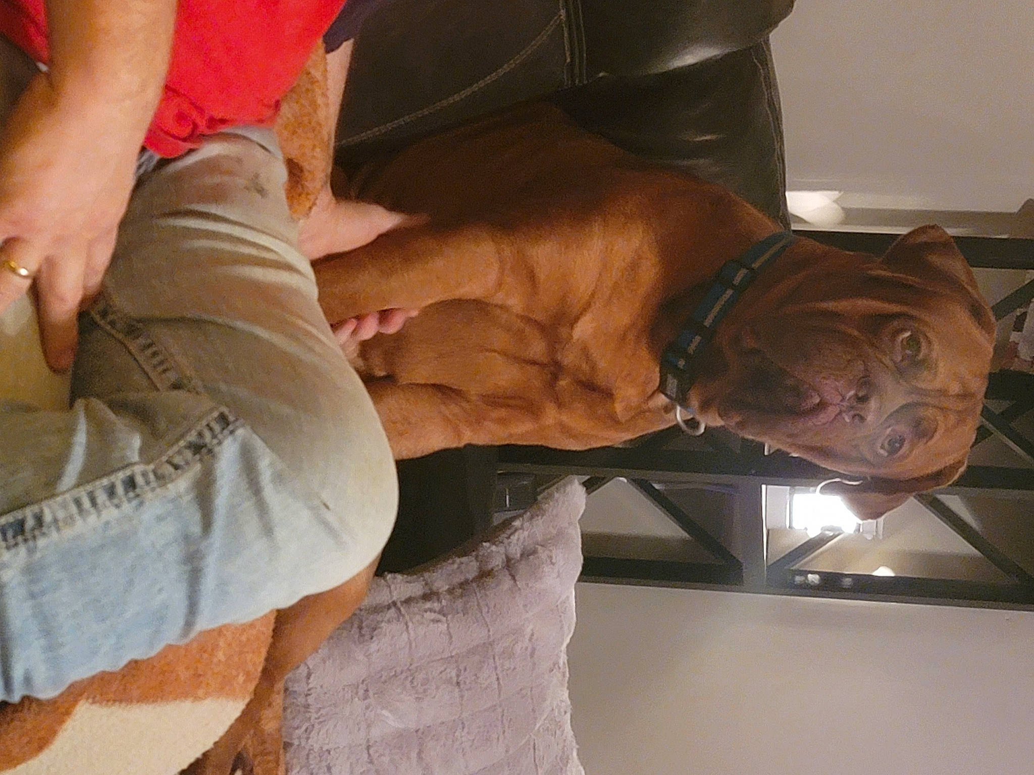 Axel Rose joined the competition — help win amazing prizes! comfort, denim, elbow, flooring, fun, gesture, helmet, human_leg, joint, knee, metal, nail, personal_protective_equipment, room, sleeve, thigh, thumb, waist, wood, wrist