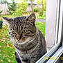 Flocon participe au concours pour gagner de l'argent avec cette photo :