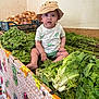 baby, child, hat, vegetables, lettuce, greens, onions, crate, indoor, sitting, curious, food, produce, market, tablecloth, colorful, cute, expression, person, clothing