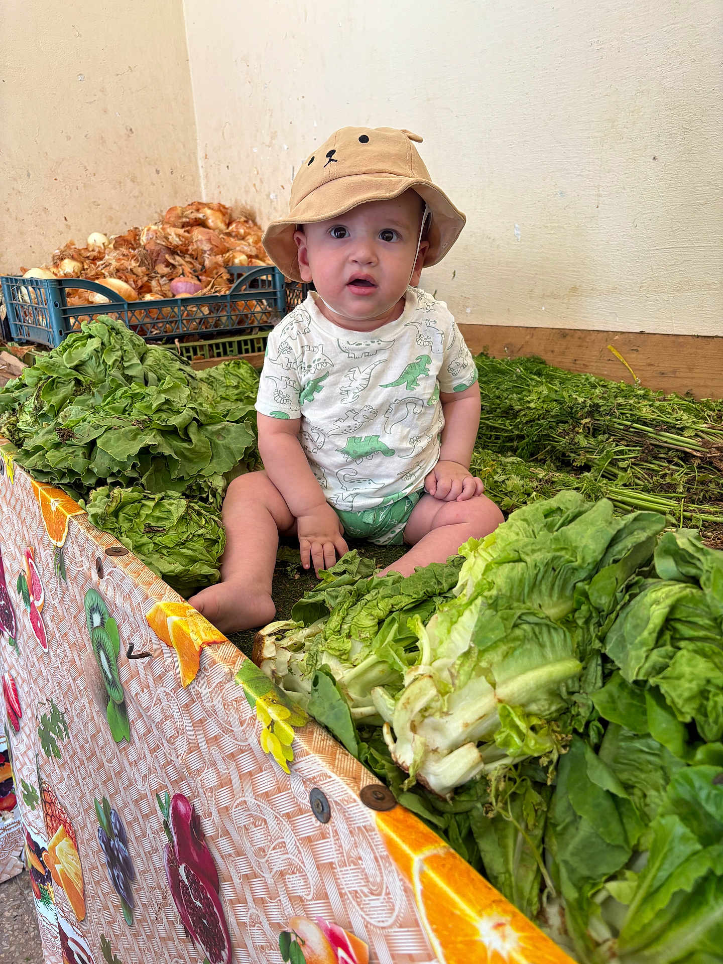 Luqman participe au concours pour gagner de l'argent avec cette photo : baby, child, hat, vegetables, lettuce, greens, onions, crate, indoor, sitting, curious, food, produce, market, tablecloth, colorful, cute, expression, person, clothing