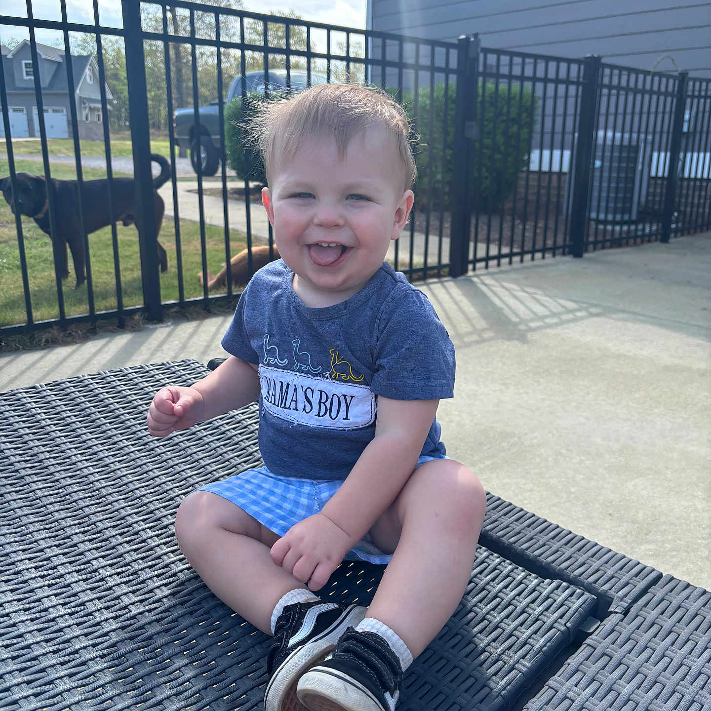 Hudson joined the competition — help win amazing prizes! baby, backyard, clothing, face, fence, footwear, grass, head, nature, outdoors, person, photography, plant, portrait, shoe, shorts, sitting, sneaker, t_shirt, yard