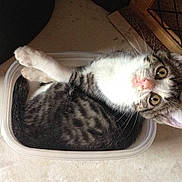 Johanna is registered to the contest to win money with this photo: