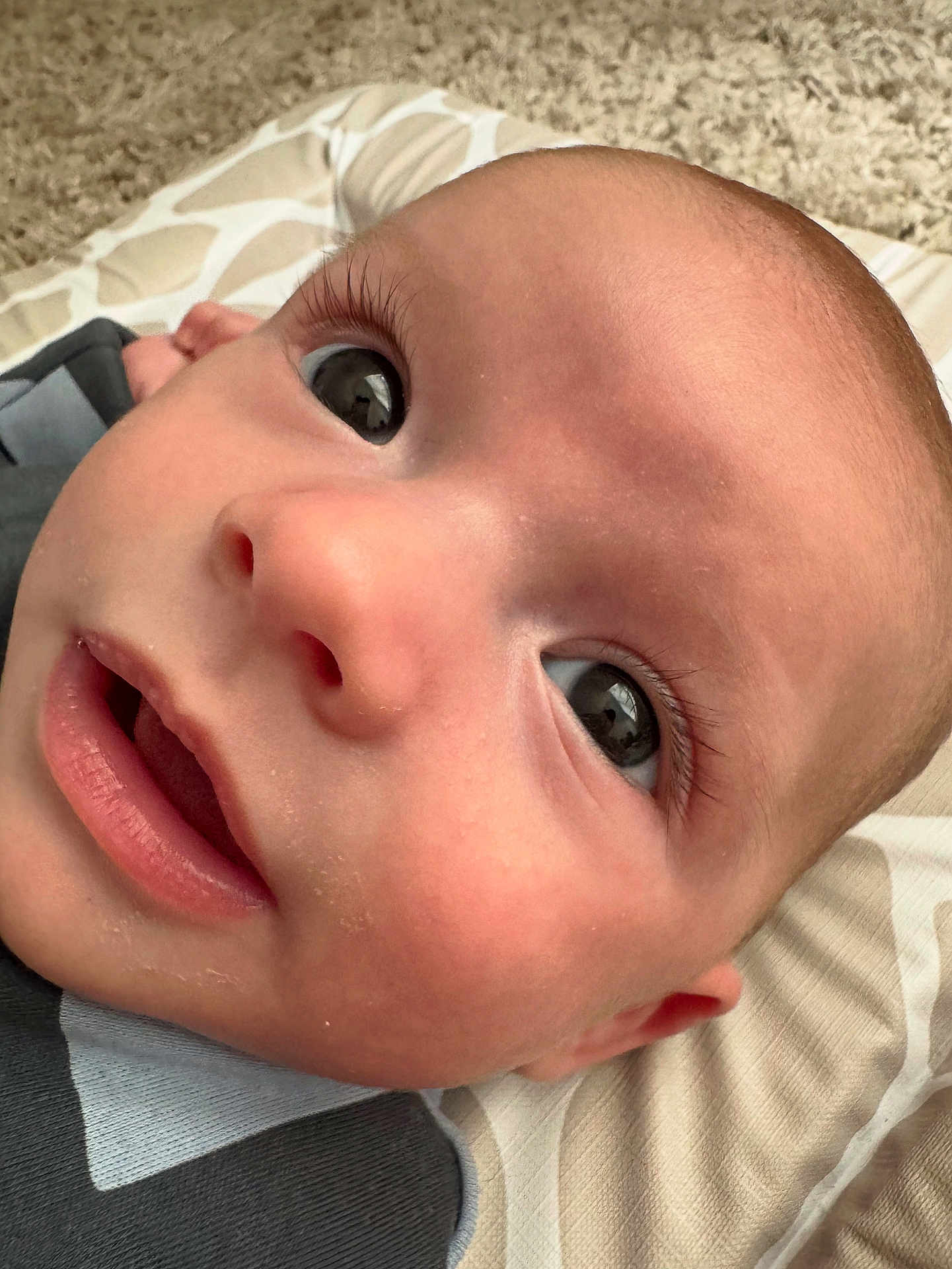 Hudson joined the competition — help win amazing prizes! baby, close_up, face, infant, curious, wide_eyes, mouth, skin, cushion, pattern, carpet, lying_down, expression, child, young, cute, indoors, portrait, human, person
