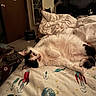 cat, calico_cat, bed, blanket, space_theme, rocket, planet, room, mirror, reflection, furniture, door, floor, indoor, cozy, pet, animal, fur, resting, lying_down