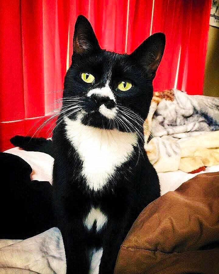 Binx