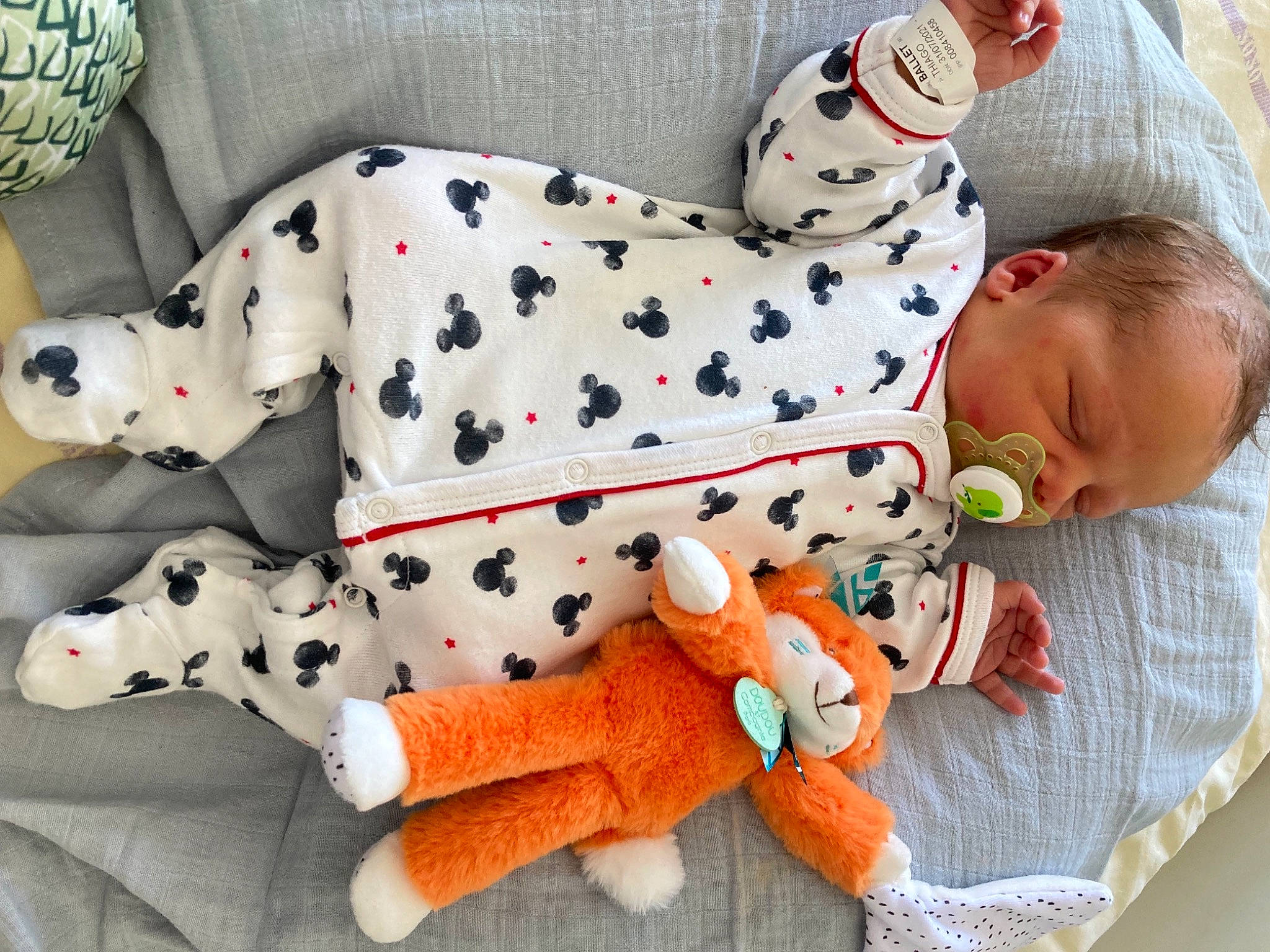 Thiago a rejoint le concours — aidez-le/la à gagner de superbes lots ! baby, baby_products, baby_sleeping, baby_toddler_clothing, carmine, child, comfort, companion_dog, dog_breed, dog_supply, lap, linens, pattern, person, plush, sitting, sleeve, stuffed_toy, toddler, toy