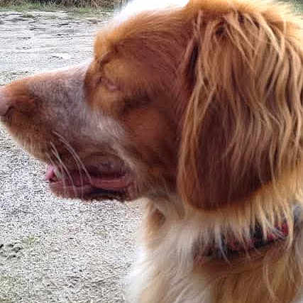 Lenny