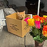 Turbo joined the competition — help win amazing prizes! cat, orange_cat, cardboard_box, table, flowers, roses, vase, living_room, couch, pillow, wood_floor, plant, indoor, furniture, home, pet, curious, colorful, decor, cozy