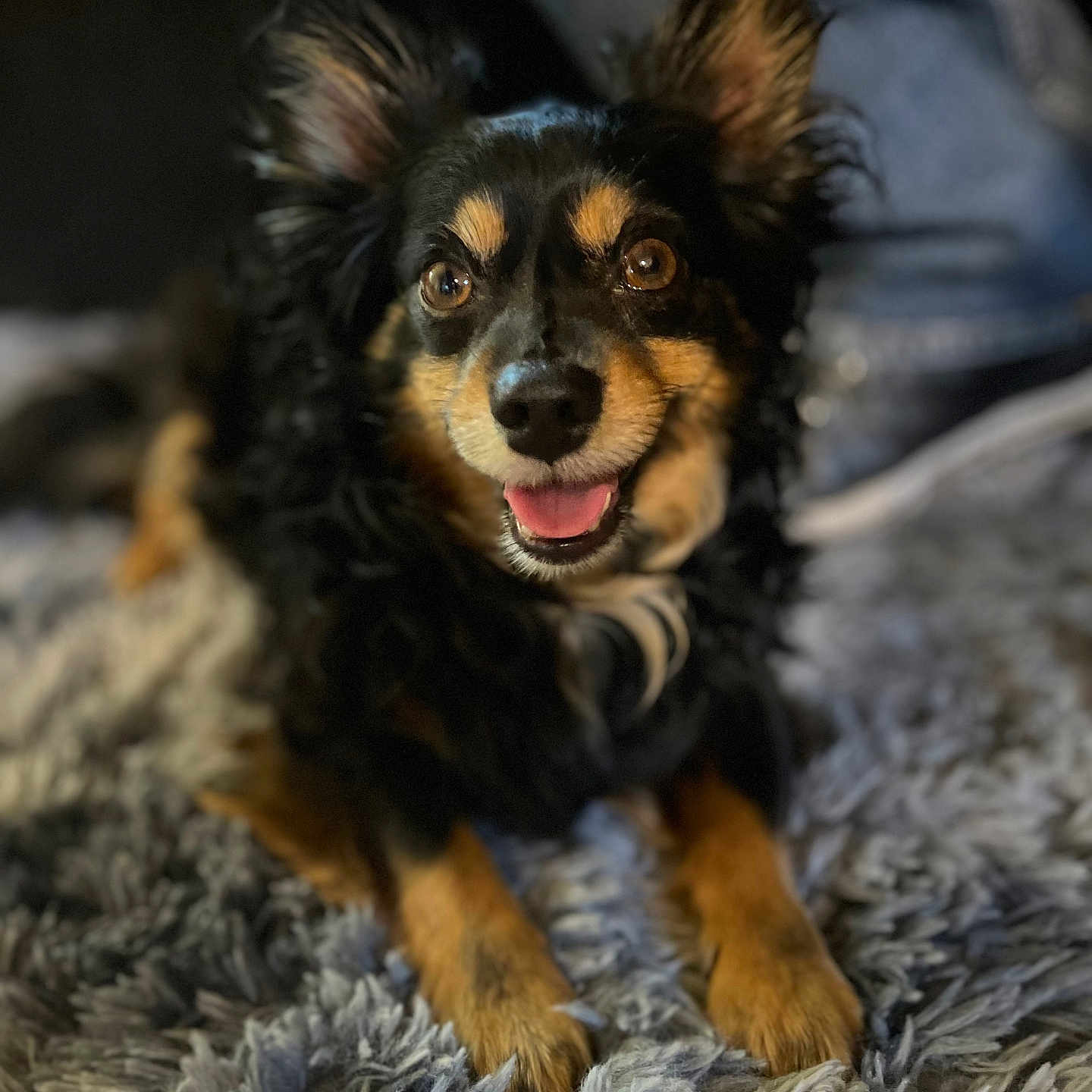 Kiko