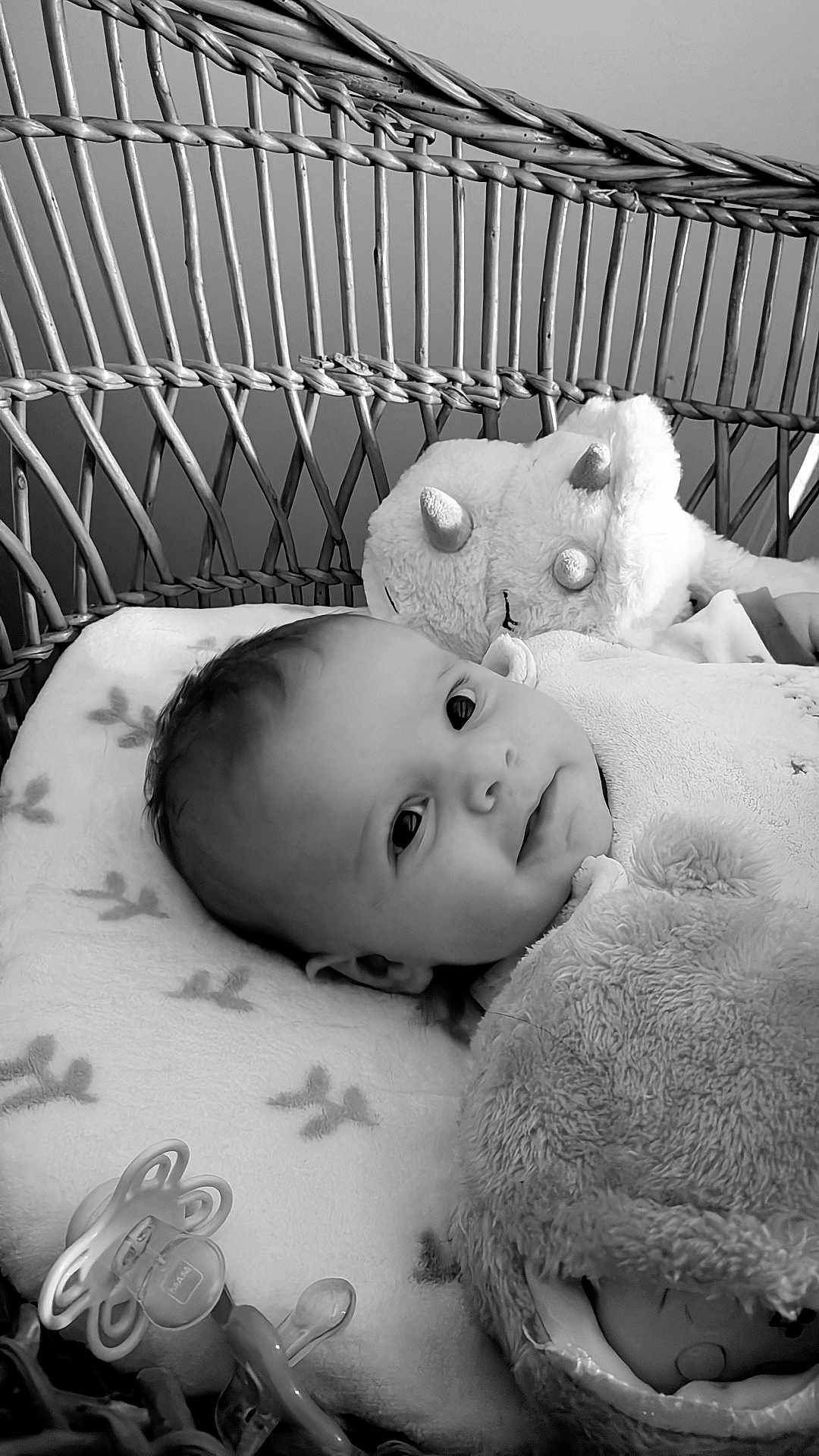 Hector a rejoint le concours — aidez-le/la à gagner de superbes lots ! baby, infant, wicker_basket, plush_toy, stuffed_animal, pacifier, blanket, pillow, closeup, portrait, smiling, eyes, lying_down, nursery, soft_texture, black_and_white, monochrome, crib, head, cozy