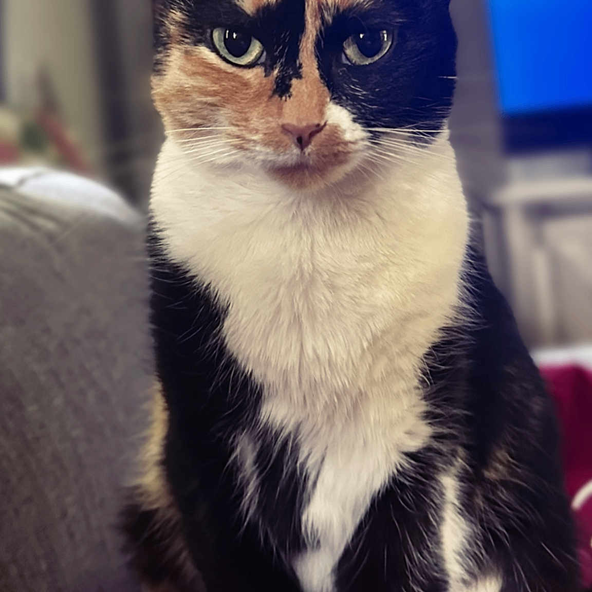 Lena